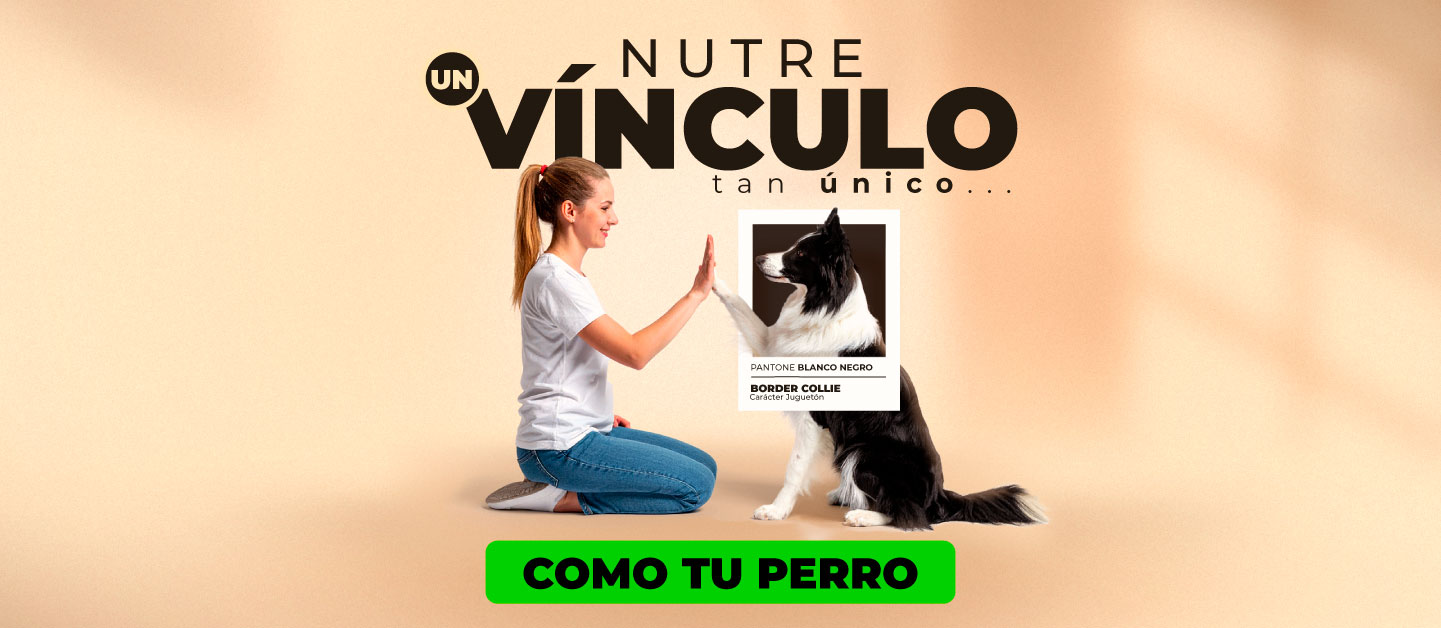 BNP-Landing Razas